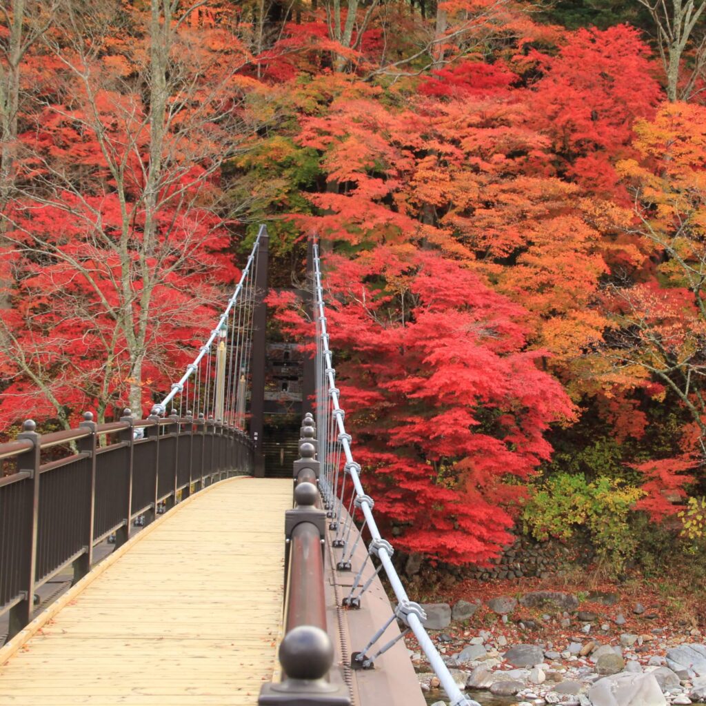 紅の吊橋_3