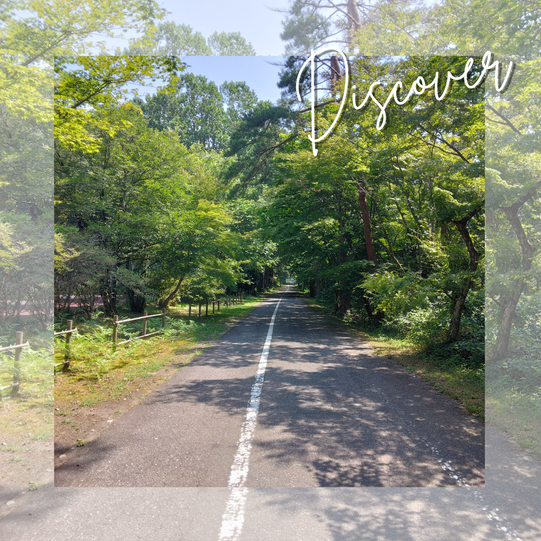 西那須野ガストロノミーウォーキング真っ直ぐな道