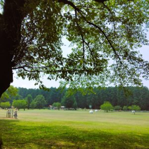 千本松牧場:広場