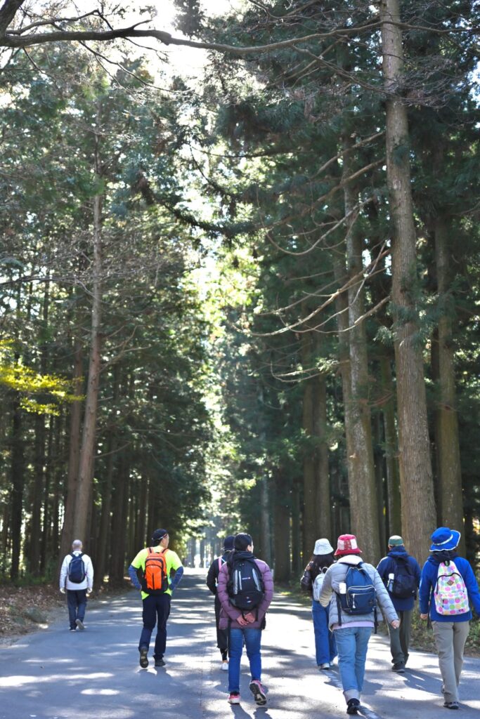 ONSEN・ガストロノミーウォーキング in 那須塩原2025の原生林を
歩いている様子