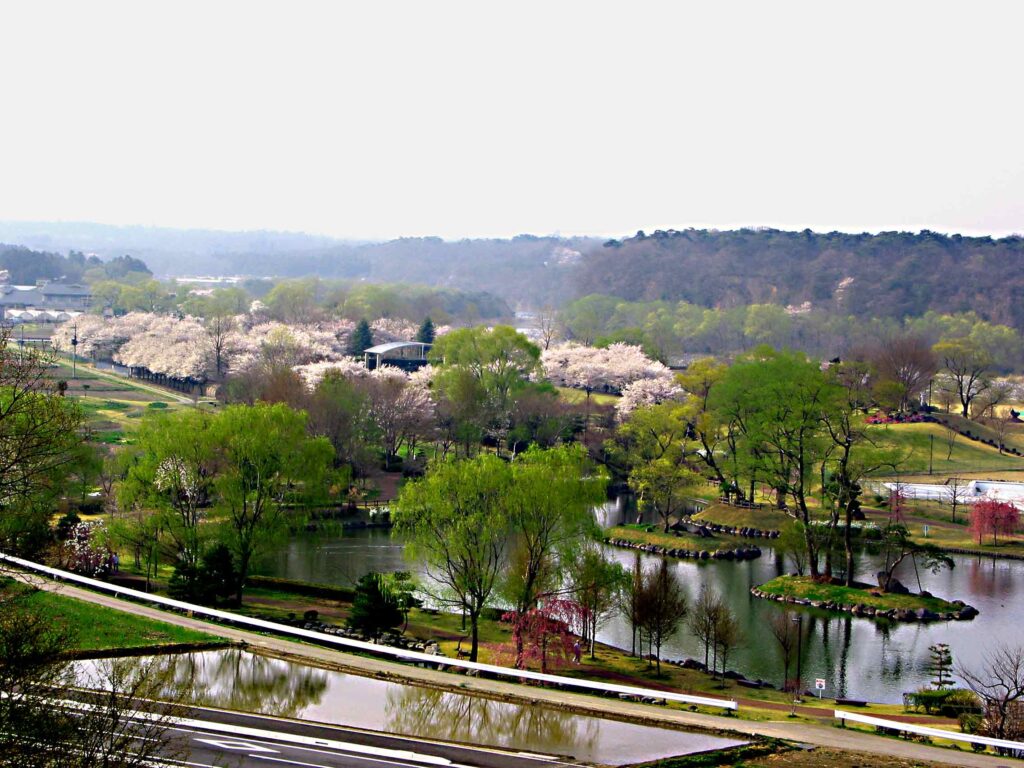 那珂川河畔公園を上から見た様子