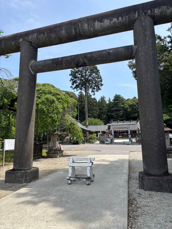 乃木神社の参道入口に立つ鳥居と境内へ続く道の様子