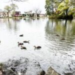 那須乃木公園の静沼