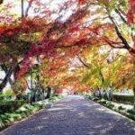 西那須野の大山参道