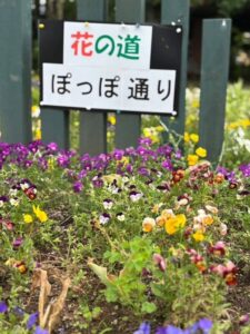 手入れされた花壇が並ぶぽっぽ通りの風景