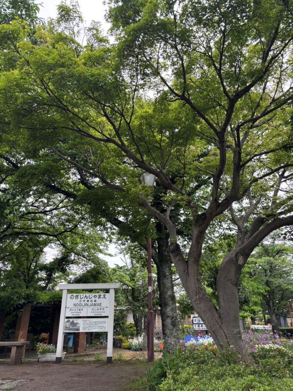 ぽっぽ通りの遊歩道と木々、西那須野駅方面の案内看板が見える風景