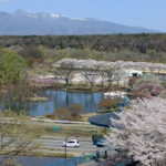 黒磯公園から那珂川河畔公園と那須連山が見える様子