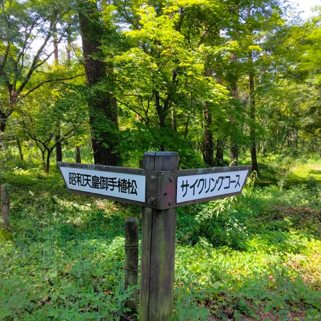 サイクリングコースの看板