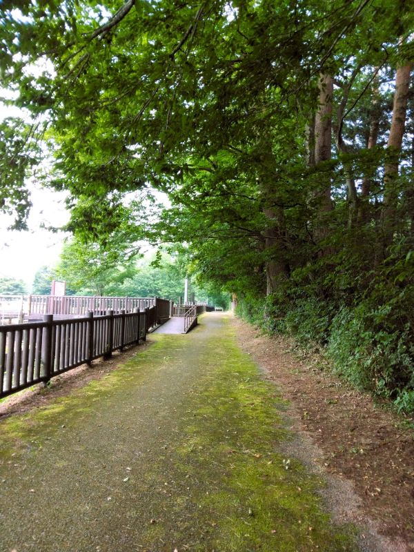那須疎水_千本松牧場から那須野が原公園方面を見ている
